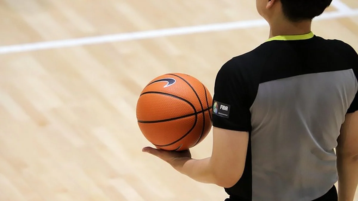 尼克斯赢球后名人同庆引发舆论热议